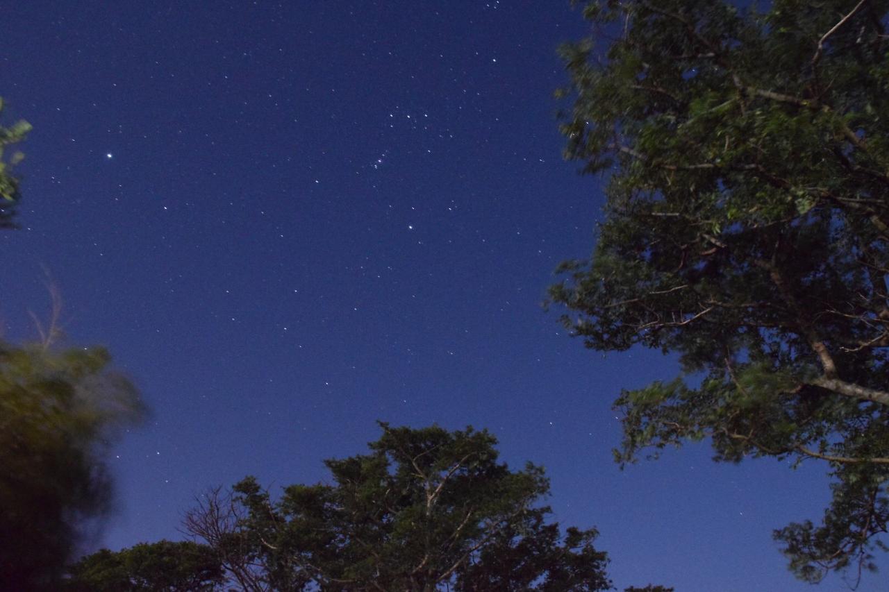 Yakushima Minsyuku Suginoko Acomodação com café da manhã Exterior foto